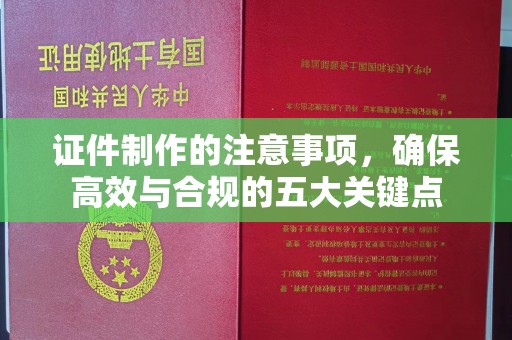汨罗证件制作的注意事项，确保高效与合规的五大关键点