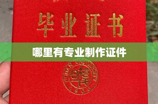 汨罗哪里有专业制作证件